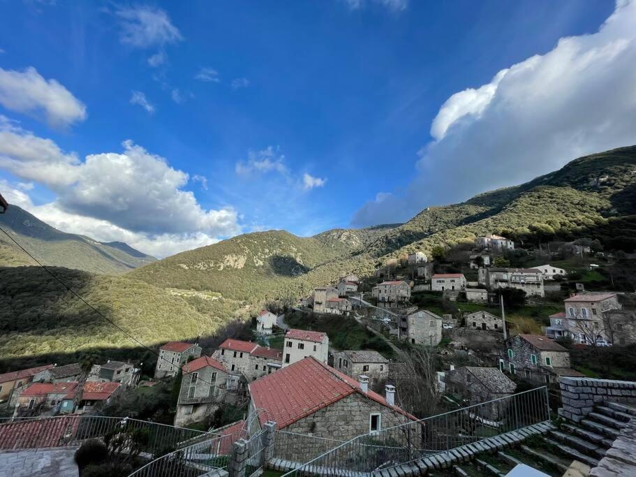Casa Arena Authentique Maison De Village Avec Piscine Au Coeur De L'Alta Rocca - Zoza Luaran gambar