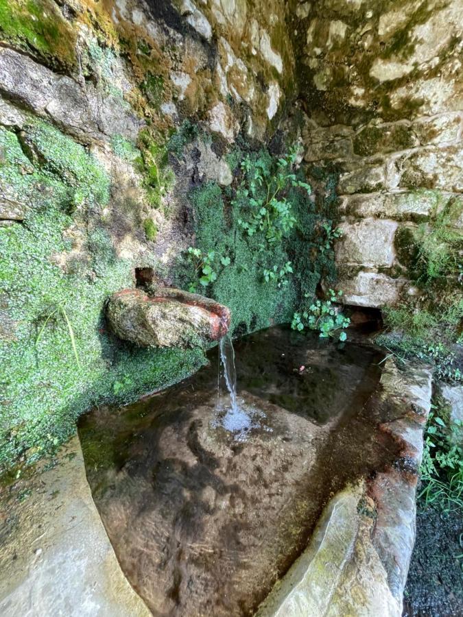 Casa Arena Authentique Maison De Village Avec Piscine Au Coeur De L'Alta Rocca - Zoza Luaran gambar