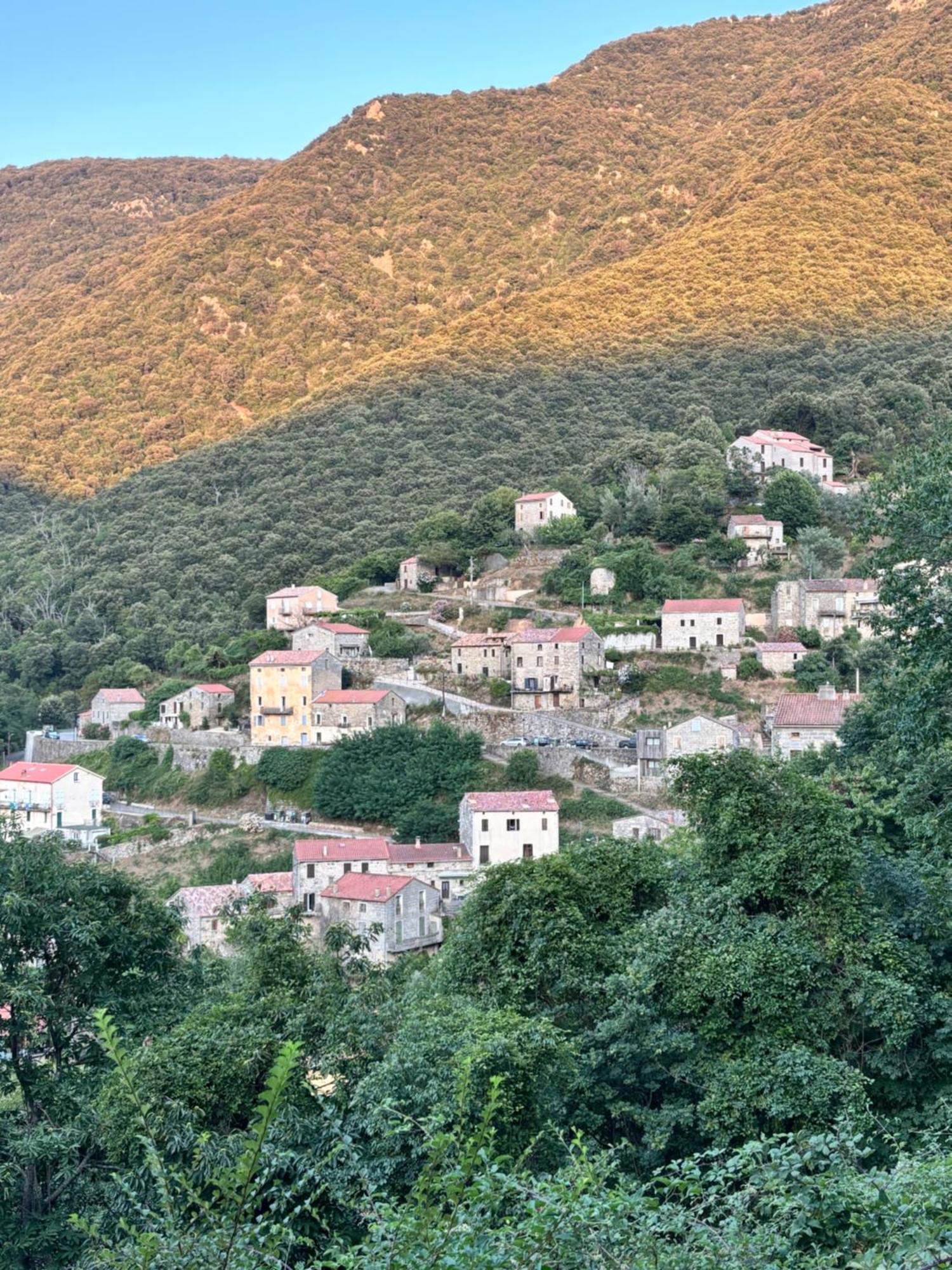 Casa Arena Authentique Maison De Village Avec Piscine Au Coeur De L'Alta Rocca - Zoza Luaran gambar